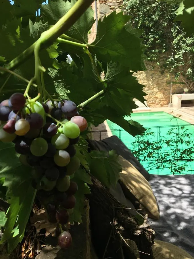 Bed and Breakfast Casa Migdia Sant Jordi Desvalls Spanien